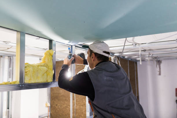 Best Cellulose Insulation in Doylestown, OH